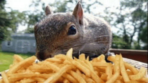 Sloth (USA-2) : I Had Fun at Our Fry Party!